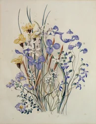 Frühlingsblumen, 19. Jahrhundert